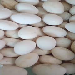 王建东 专业食用农产品批发供应商