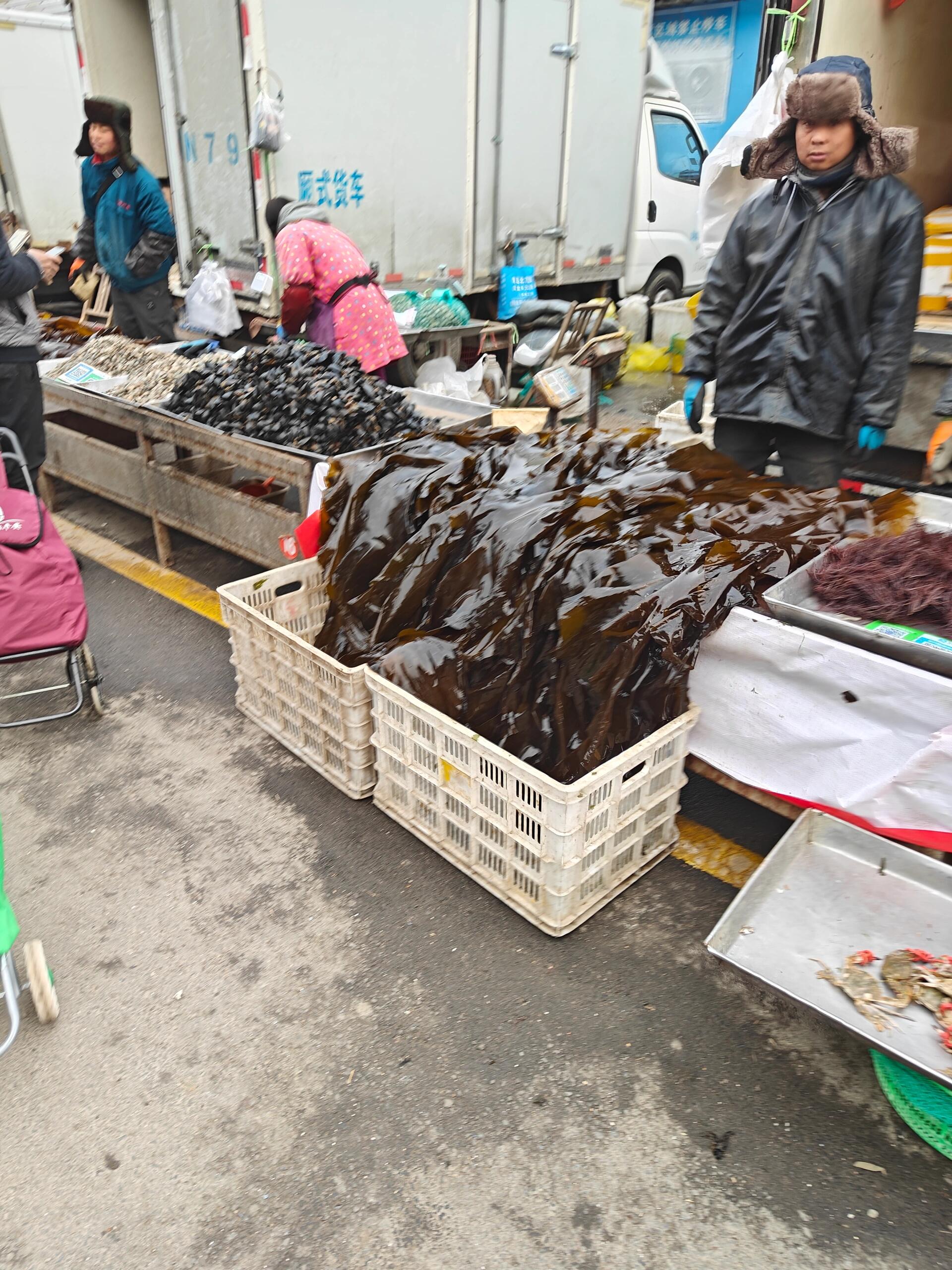 华中蔬菜批发市场 区域食用农产品流通的重要枢纽