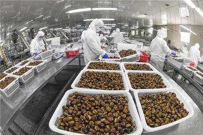 遵化 农产品转化助农增收 食用农产品批发蓬勃发展