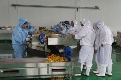 三都县推进农产品深加工 深化食用农产品批发 助力脱贫攻坚